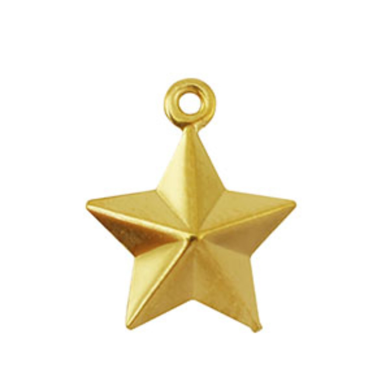 Přívěsek z nerezové oceli, hvězda zlatá