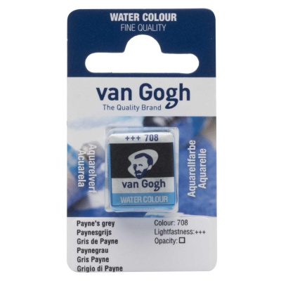 Akvarel Van Gogh, 2 ml, Paynesova šedá
