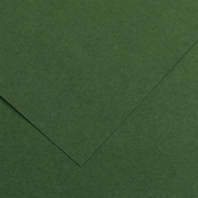 Barevné kreslení Canson Colorline 50x65 cm, 150g , FIR TREE