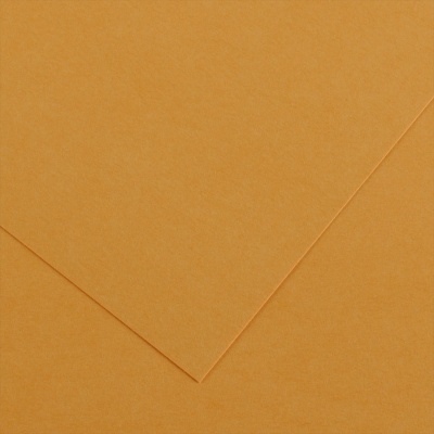 Barevné kreslení Canson Colorline 50x65 cm, 150 g , LEATHER