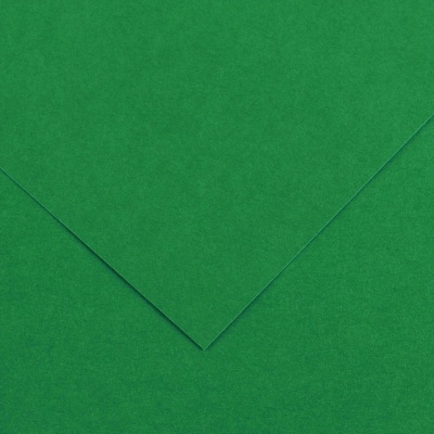 Barevné kreslení Canson Colorline 50x65 cm, 150 g , MOSS GREEN