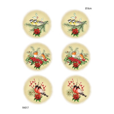Rýžový papír, A4, medailonky s ptáky