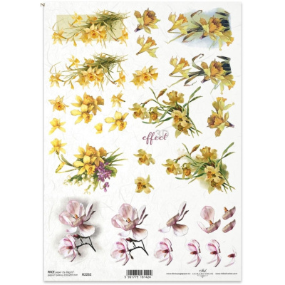 Rýžový papír na decoupage, A4, 3D květiny, narcisy a magnolie