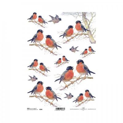 Rýžový papír na decoupage, A4, ptáci na větvi