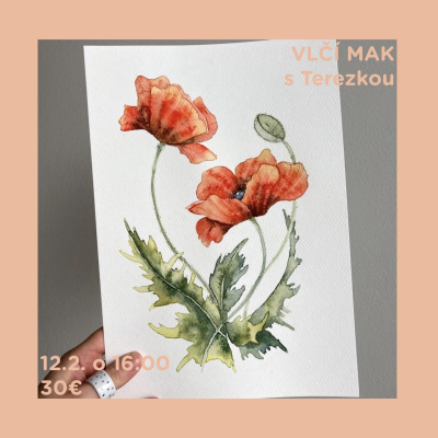 Workshop, Akvarel - Vlčí mák, 12. února 2026 - 16:00 hodin