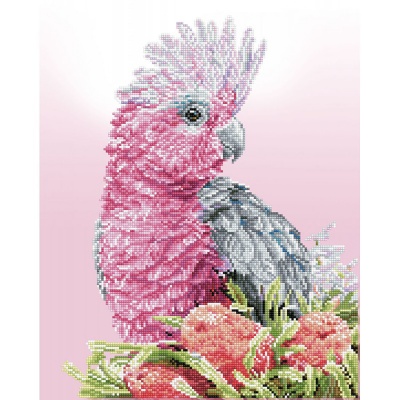 Diamond dotz, Pink Galah and Baksias, 41 x 51 cm