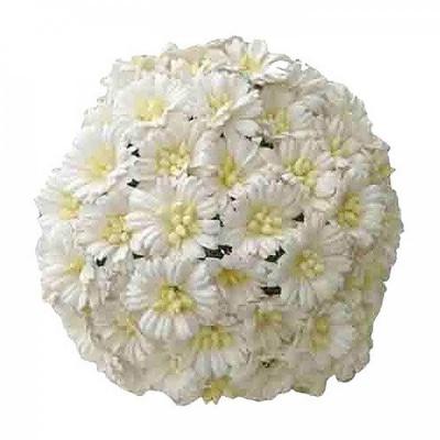 Papírový květ daisy, 25 mm, bílá 5 ks
