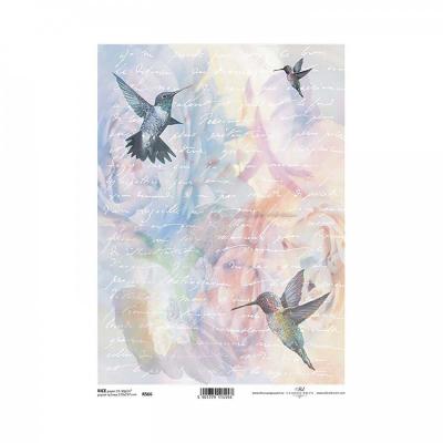 Rýžový papír na decoupage, A4, kolibřík