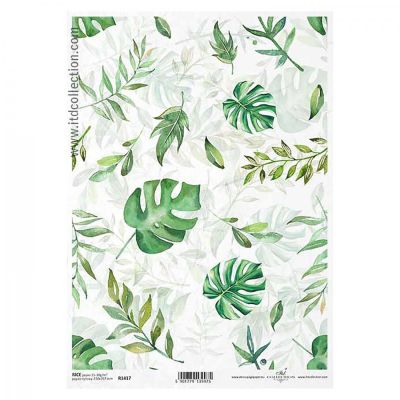 Rýžový papír na decoupage, A4, monstera