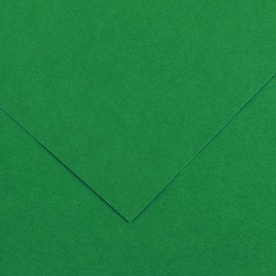 Barevný papír Canson Colorline 50x65 cm, 150 g , MOSS GREEN