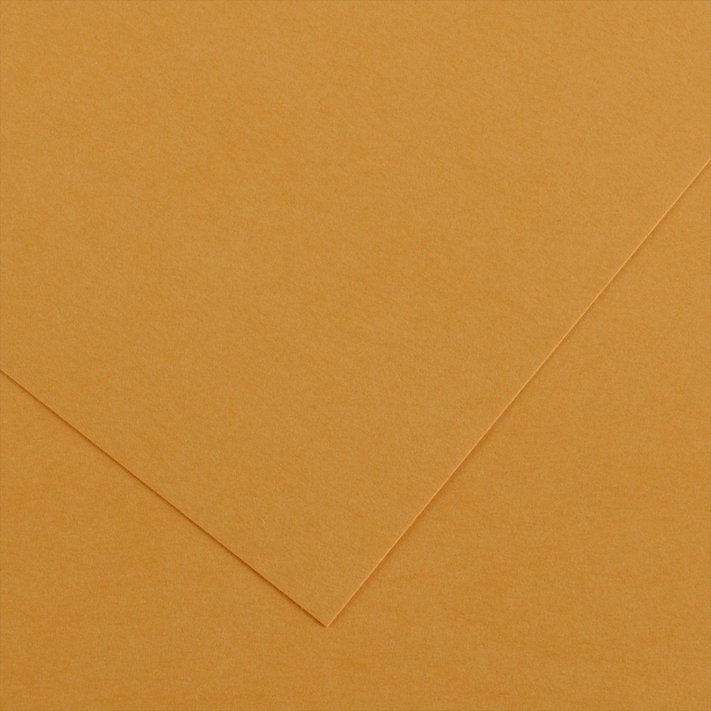 Barevný papír Canson Colorline 50x65 cm, 150 g , LEATHER