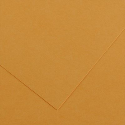 Barevný papír Canson Colorline 50x65 cm, 150 g , LEATHER