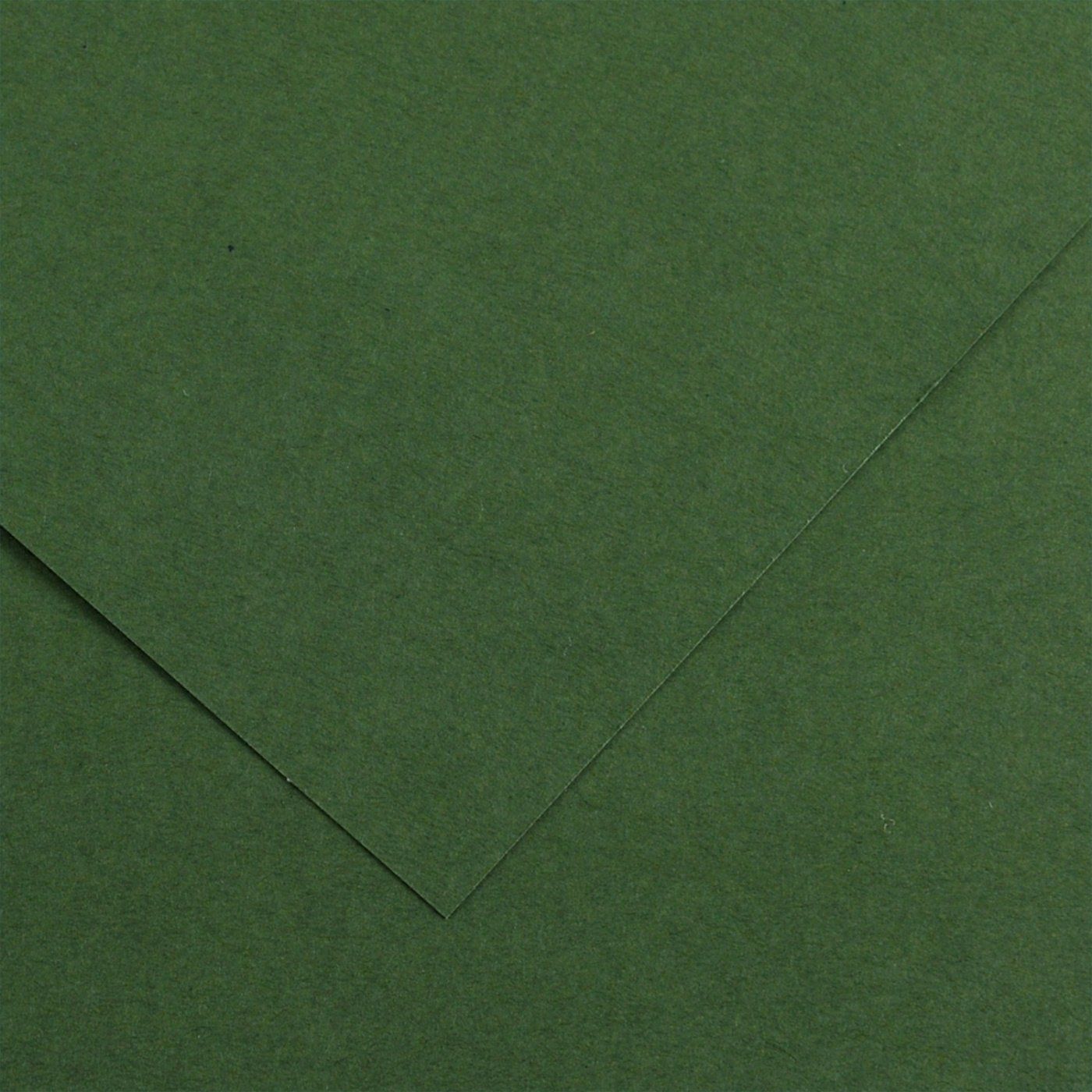 Barevný papír Canson Colorline 50x65 cm, 150g , FIR TREE